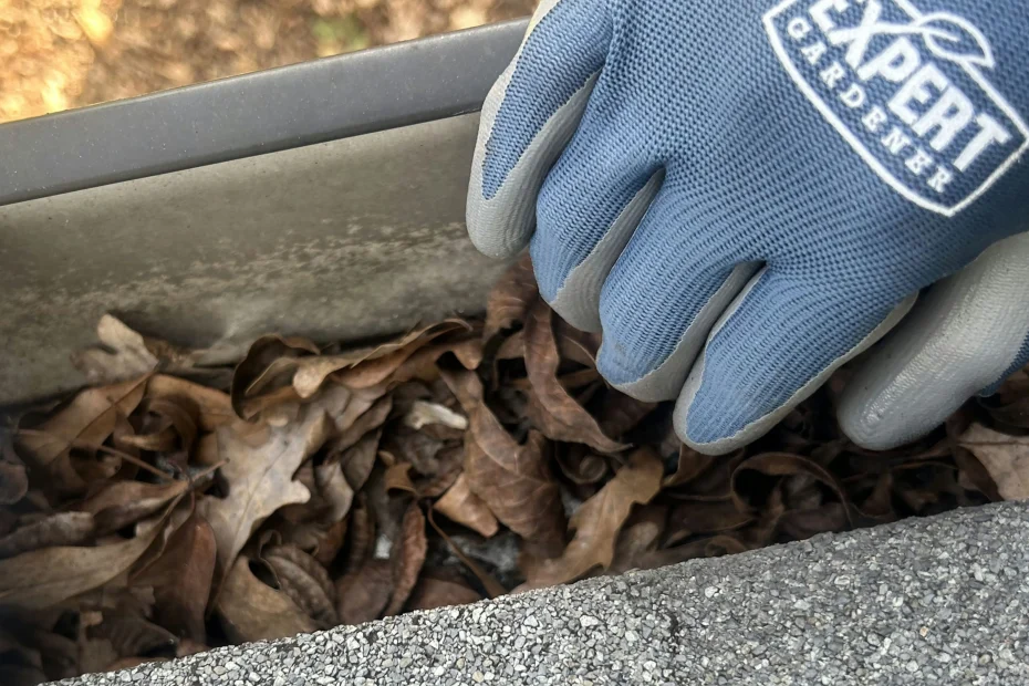 Gutter Cleaning Cabot AR